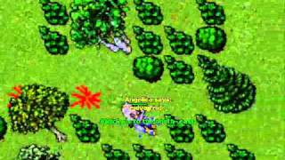 war venus megatibia  PowerGamers