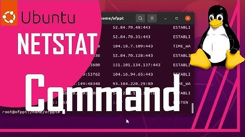Commandes Netstat | Ubuntu