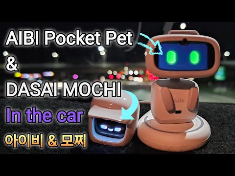 AIBI Pocket Pet & DASAI MOCHI In the car 아이비 & 모찌 AI 휴대용