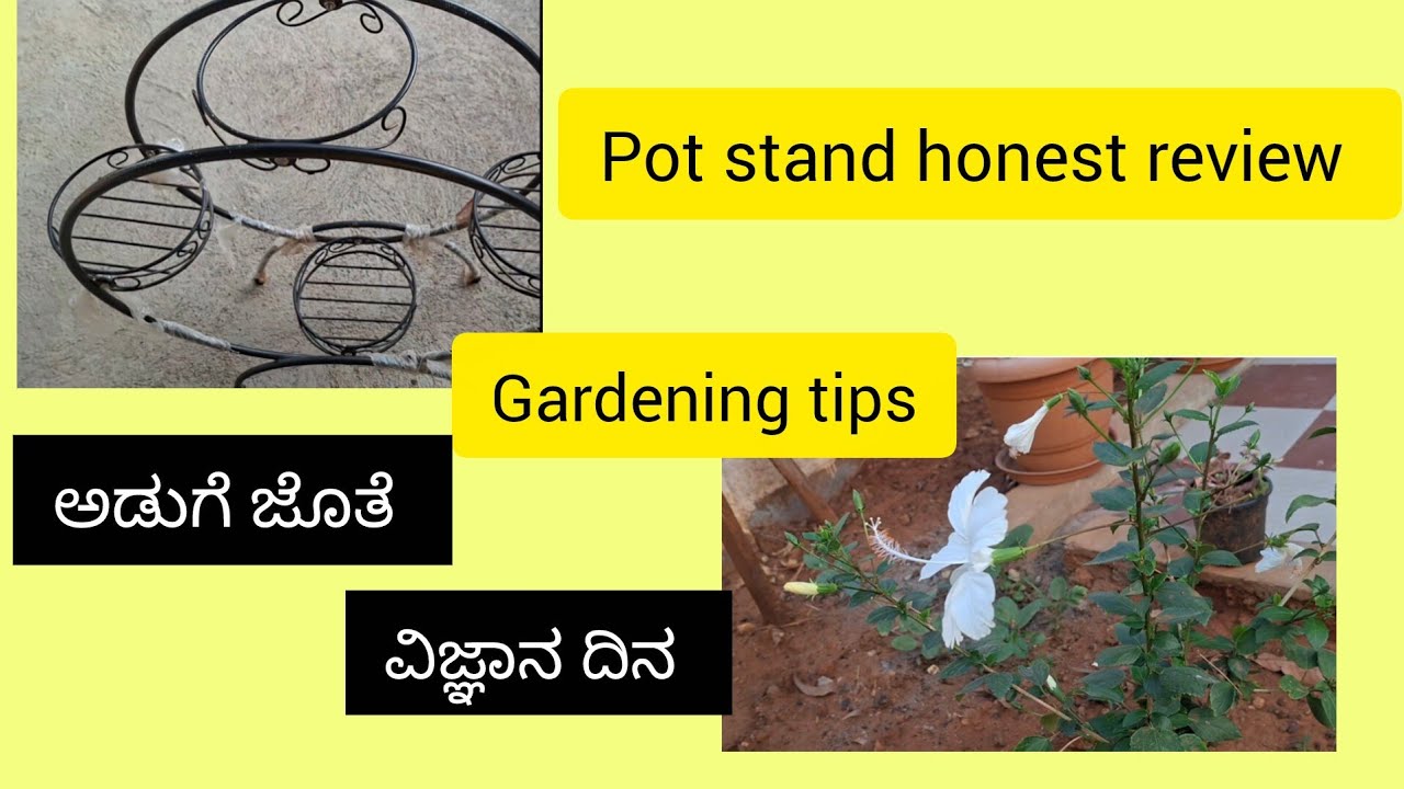 ಸೊಪ್ಪಿನ ಉಪ್ಪಸಾರೂ, ಗಿಡ ನೆಡುವುದರ ಸಲಹೆ, ವಿಜ್ಞಾನ ದಿನ.gardning and plant stand review 