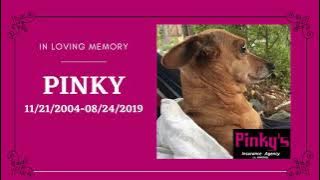 Pinky 3rd Year Memorial