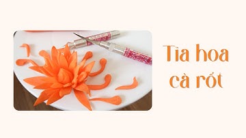 Học cắt tỉa hoa từ củ quả có khó không? Cần những gì mới có thể học được I Hướng dẫn tỉa hoa cà rốt