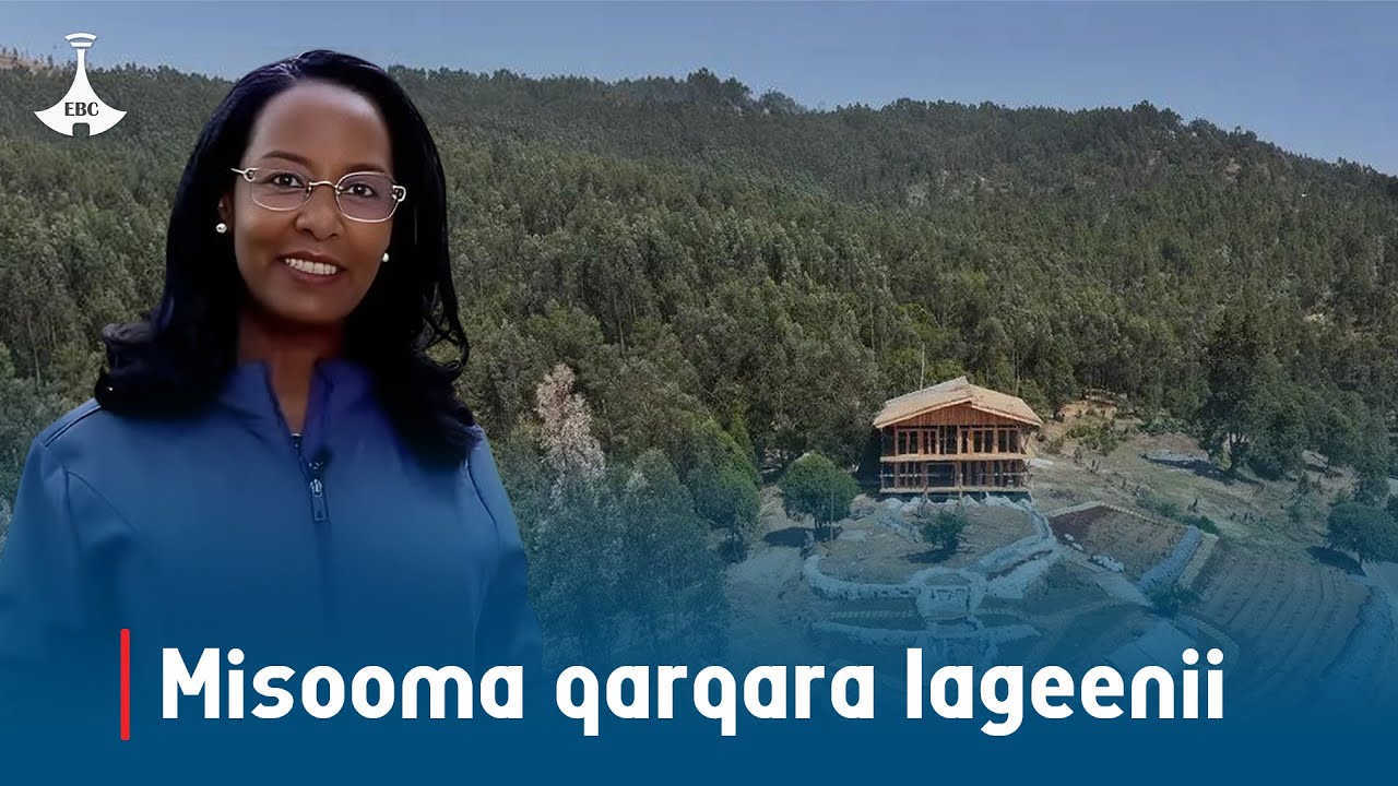 Misooma qarqara lageenii etv |Ebc |Etv Afaan Oromoo|