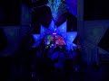 Festival Terra Azul 🌀🌎 - Whiptongue na virada do ano 2024/2025