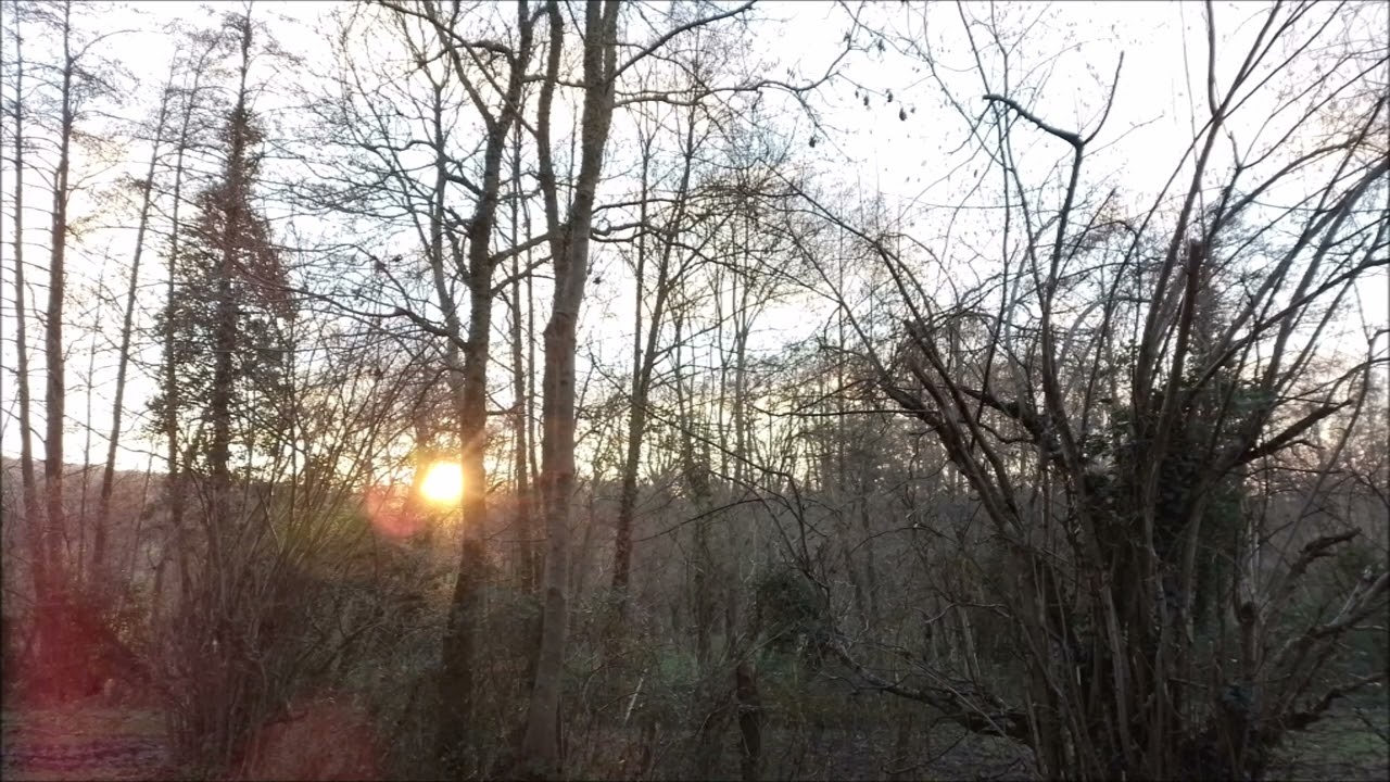 Partons sur les chemins