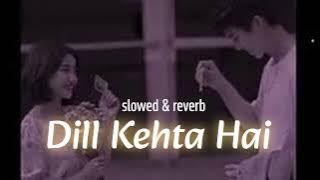 Dil Kehta Hai | Akele Hum Akele Tum | Amir Khan | Manisha Koirala | Slowed Reverb song