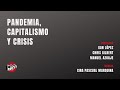 Pandemia, capitalismo y crisis (videoconferencia)