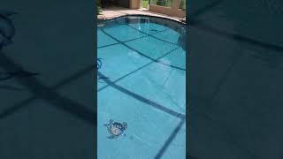 Pebble Tec Pebble Sheen Pool Surface with Mosaics