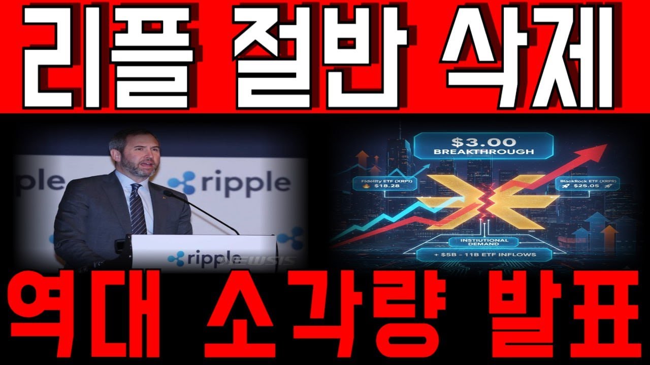 [리플코인 전망] 재단 