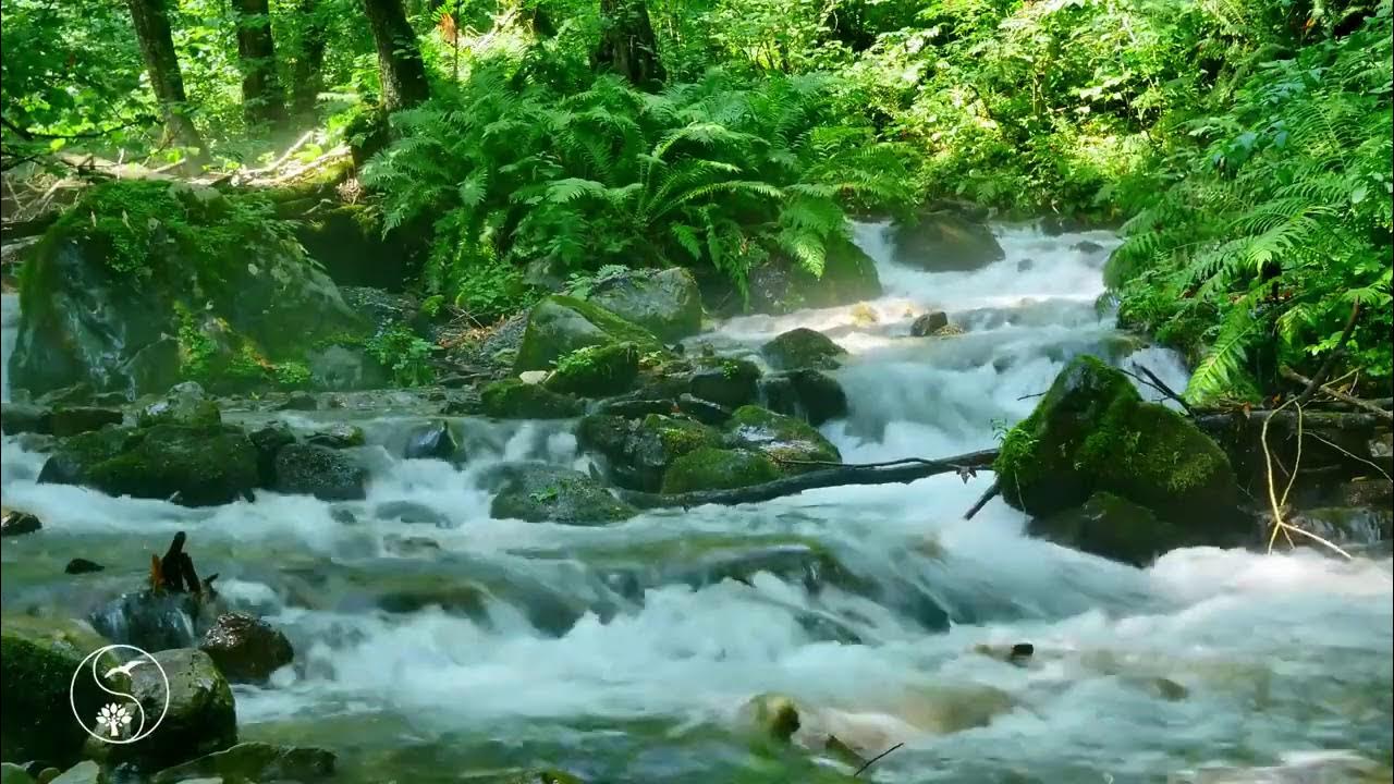 Видео со звуками природы. Журчание реки. Журчание воды звук. Шум реки. Звук реки.