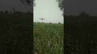 Drone SprayCoragen Spray@viral video@Short videosugarcanefarming @