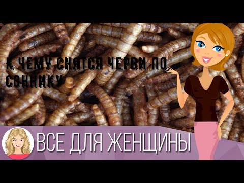 К чему снятся черви по соннику