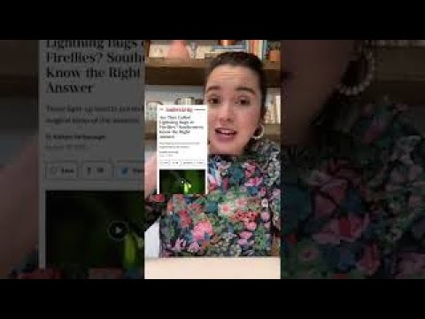 Lightning Bug Or FireFly Shorts