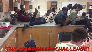 Mannequin Challenge  #mannequinchallenge SCHOOL EDITIONS!