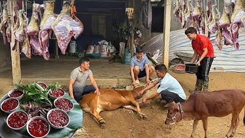 Mổ Bò Rừng, Siêu Tiết Canh Bò Và Nhiều Món Độc Lạ Ngon Tuyệt Đỉnh - Nhịp Sống Tây Bắc