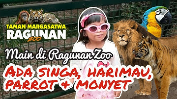Petualangan di Kebun Binatang Ragunan Part 1 | Explore Ragunan Zoo bersama Yugi