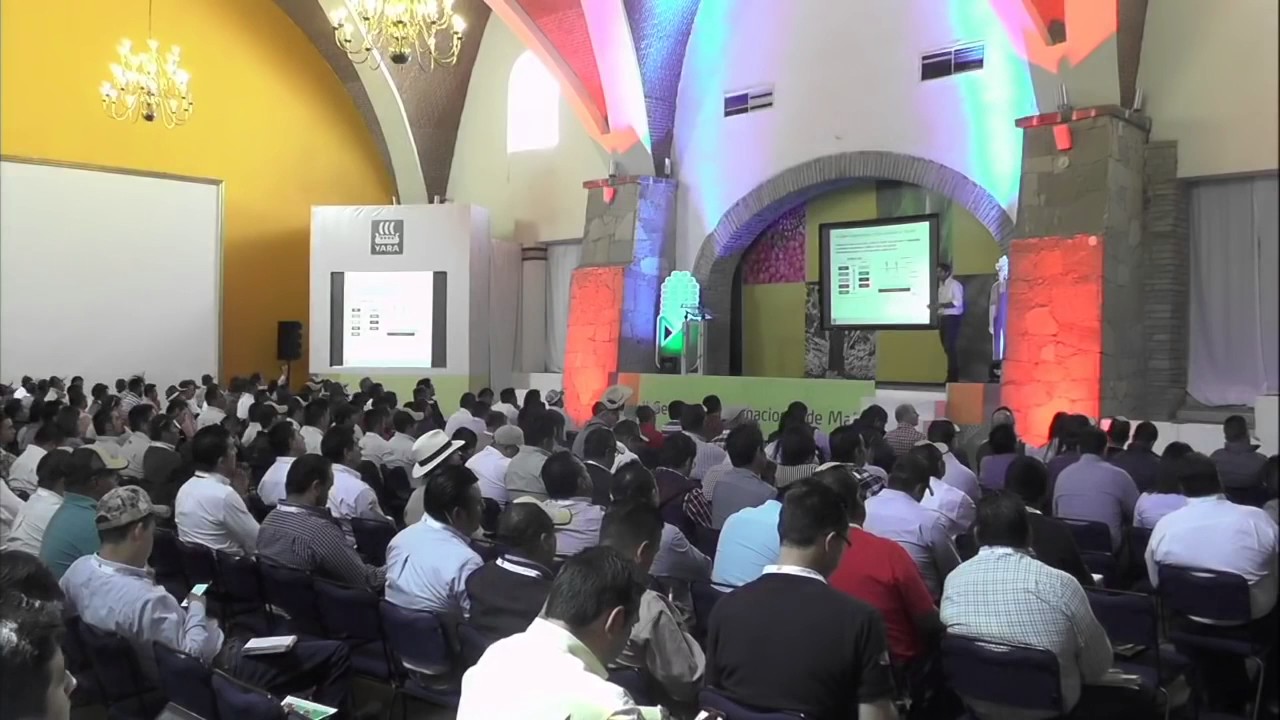 Manejo de la nutrición en suelos alcalinos y Alcalino sódicos