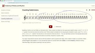 Anatomy of Notes and Rhythm