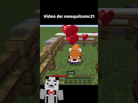 Zorro vs devastador