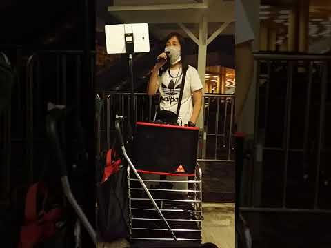 #劉美君#最後一夜#尖沙咀碼頭君#這是我的頻道喜歡這歌曲請訂閱我吧#