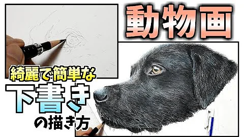 めっちゃリアルな動物イラスト 色鉛筆 Mp3