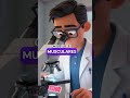 MIT Descobriu Como Reverter Envelhecimento Muscular com Romãs