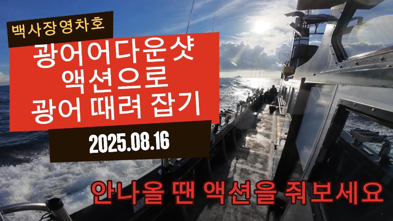 광어다운샷 액션