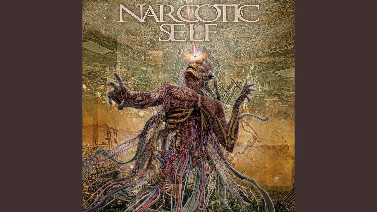 Watch ShapeShifter on YouTube Watch ShapeShifter on YouTube