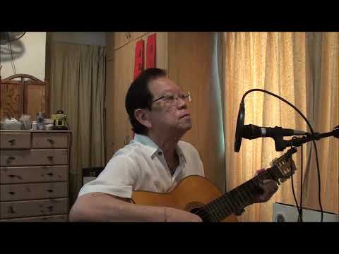 泪的小雨 (Drizzle of Tears) by John Woon