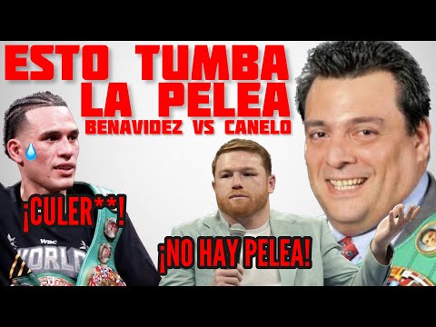 ¡POBRE BENAVIDEZ! La WBC está PROTEGIENDO a Canelo de David Benavdiez con esto / Podcast