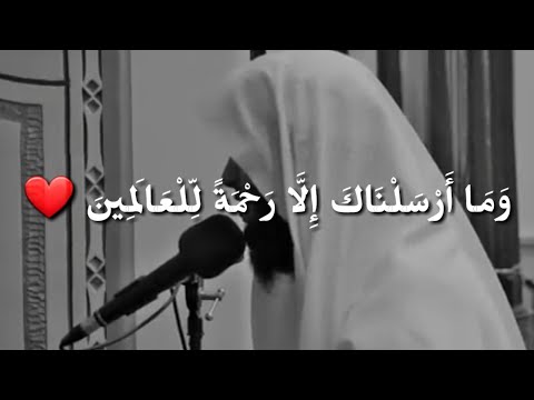 وما ارسلناك إلا رحمة للعالمين حالات واتس دينية جديدة الشيخ منصور السالمي