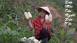 Dưa chuột khổng lồ - Thu hoạch, Ngâm mắm, Muối chua, Phơi khô, Nấu món gì cũng ngon | Bếp Nhà Mình