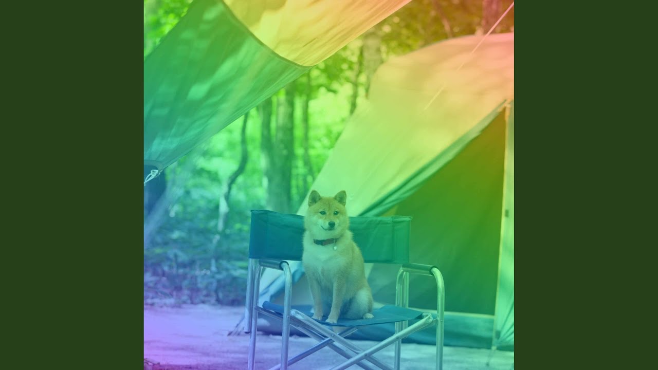 Terrific Smart Pups - YouTube