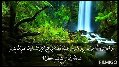 تلاوة عطرة بصوت الأخ الفاضل أبي يحيى وليد الريدي من أوآخر سورة الزمر