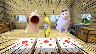 バナナ猫がマイクラにやってきた【総集編 Part 7】