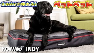 【ペット用品紹介】3wayで使える多頭飼いから中型犬・大型犬用ベッド【NOWWe　INDY】