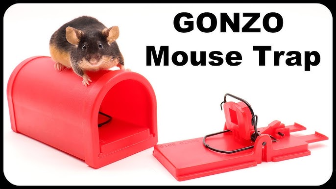 KAT SENSE covered rat trap works for mice and rats. Mousetrap