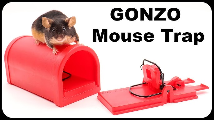 The Kat Sense Mousetrap Is a Great Trap - Full Review. Mousetrap