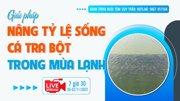 GIẢI PHÁP NÂNG TỶ LỆ SỐNG CÁ TRA BỘT TRONG MÙA LẠNH - LIVESTREAM