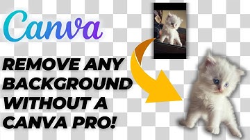 How to Remove Background in Canva Without Canva Pro (Canva Beginners Guide) - 2025