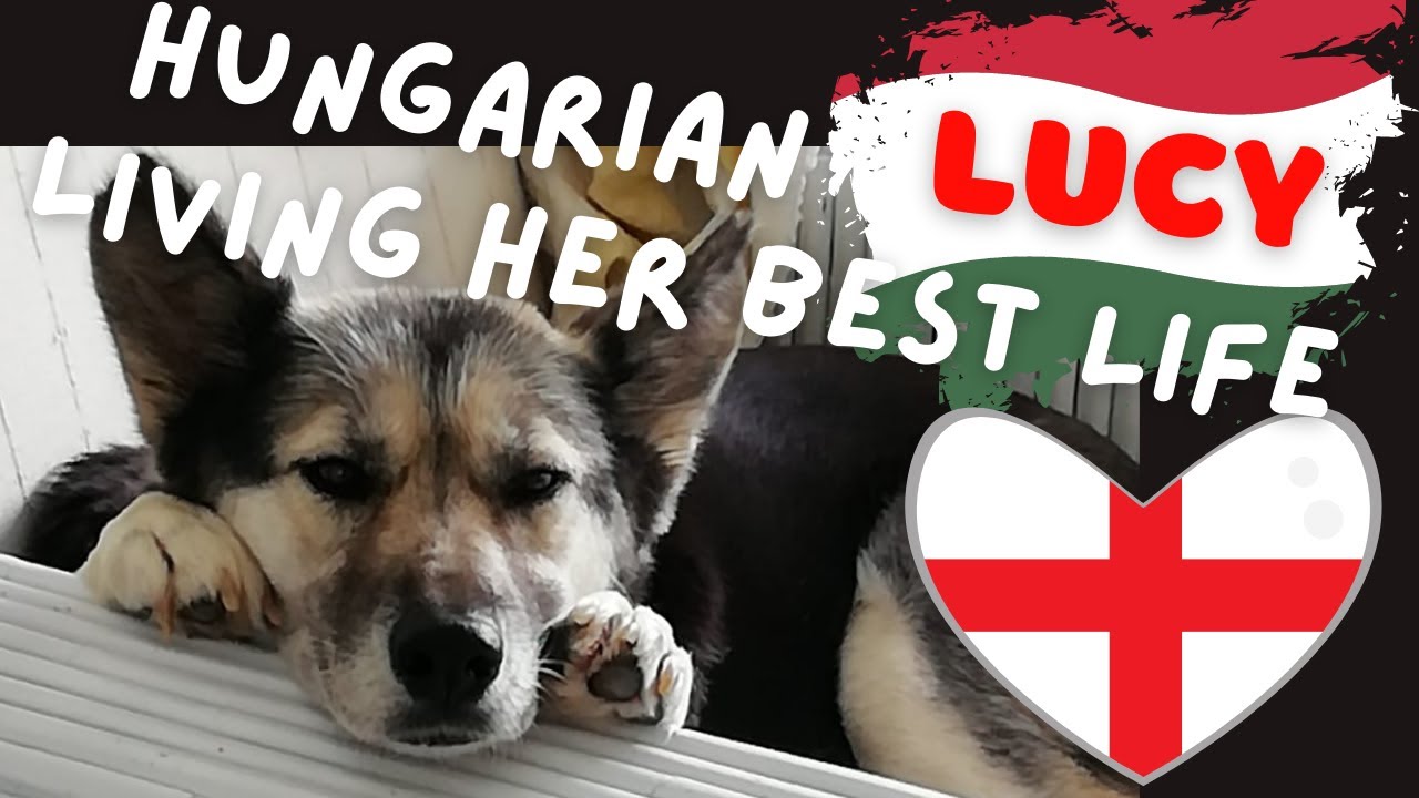 LUCY - Living her best life - YouTube