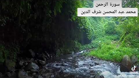سورة الرحمن. محمد عبد المحسن شرف الدين