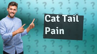 How do you know if your cat's tail hurts?