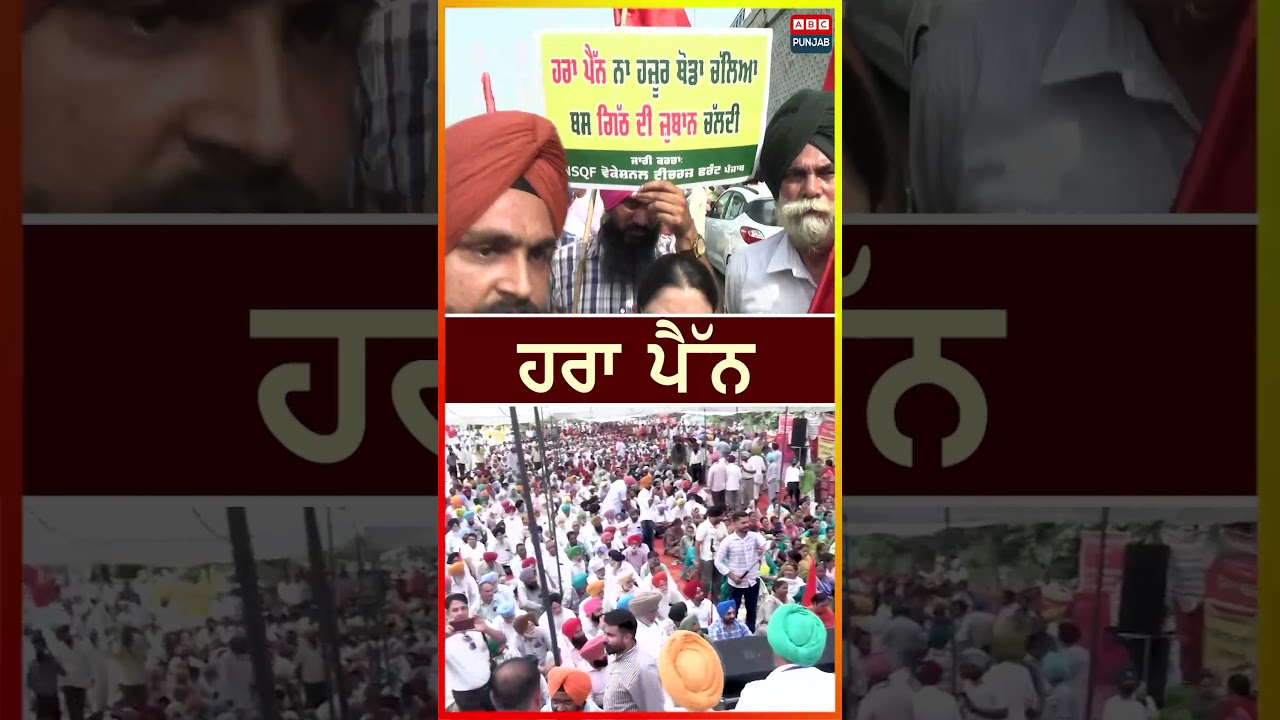 ਹਰਾ ਪੈੱਨ