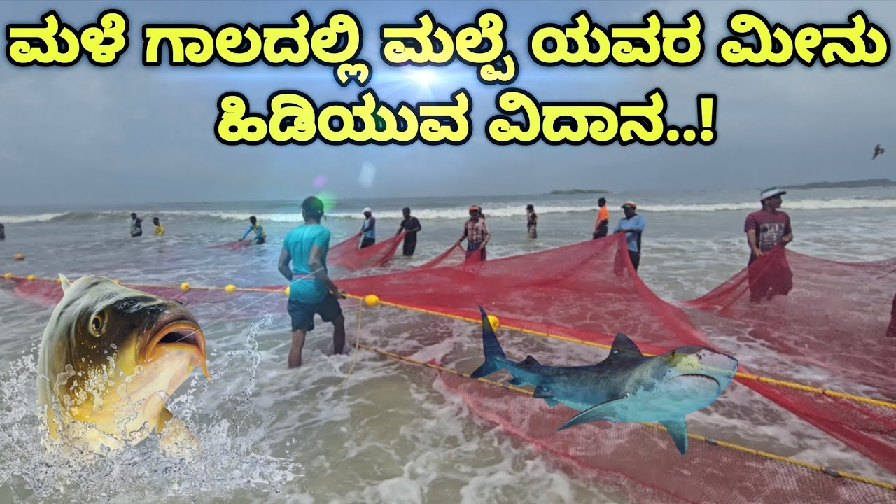 😱ಗುರು ಮಲ್ಪೆ ಯವರು ಯಾವ ಯಾವ ರೀತಿಯಲ್ಲಿ  ಮೀನು ಹಿಡಿಯುತ್ತಾರೆ