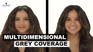 Use tbh for Multi-Dimensional Grey Coverage | Schwarzkopf Professional USA Profile