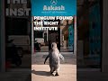 Even Penguin found one of the best Institute in Jodhpur🐧