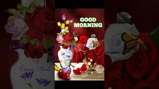 rose flower good morning gif animation | gif video screenshot 5