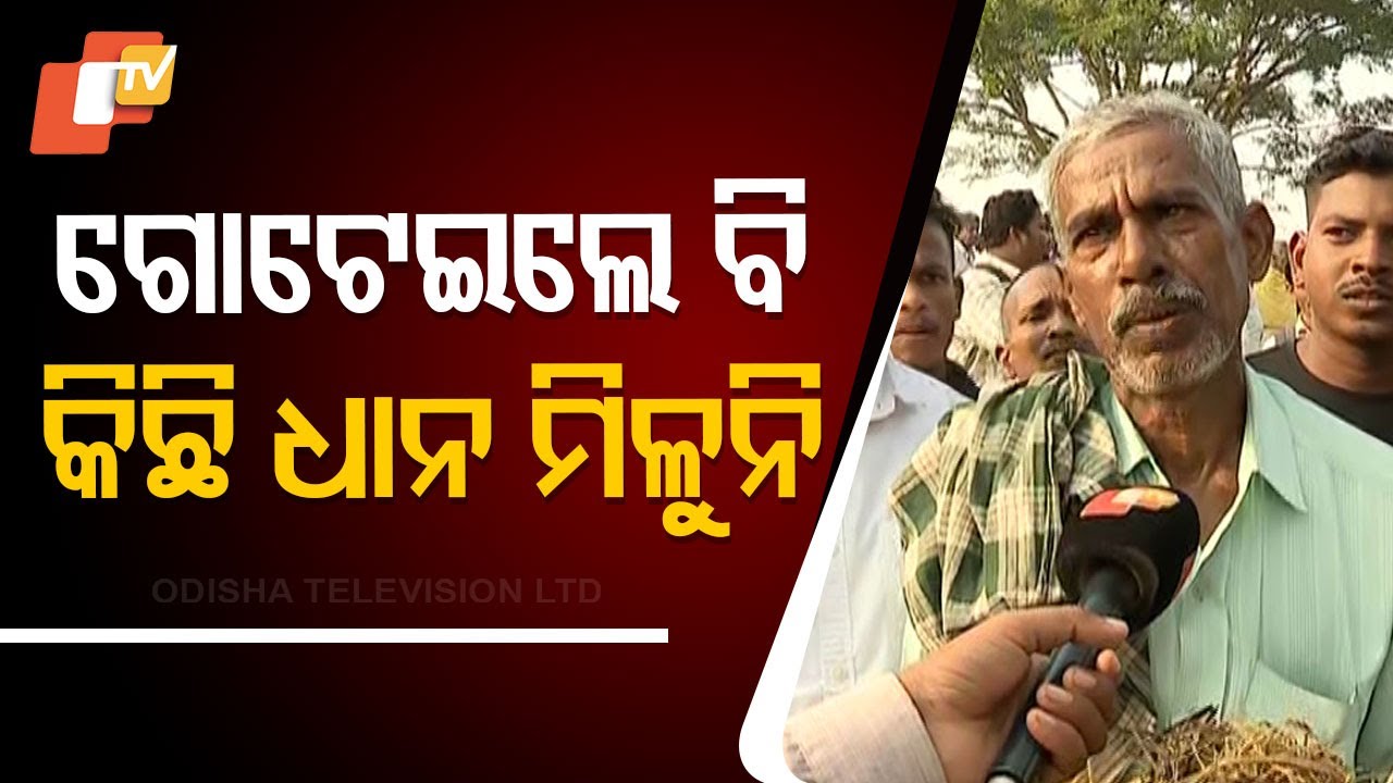 Farmers Express Their Distress Over Crop Loss Due to Incessant Rainfall ...