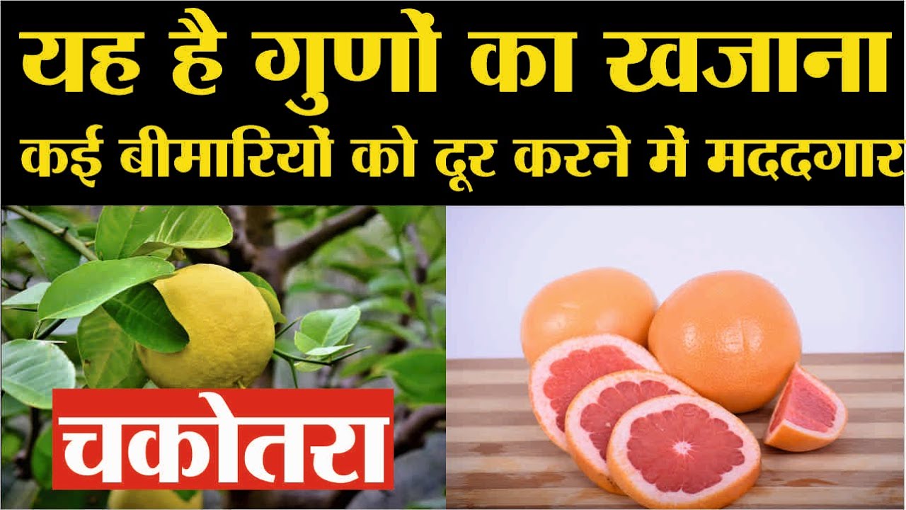 चकोतरा फल के फायदे Chakotra khane ke fayde Grapefruit benefits
